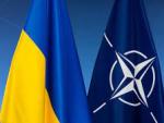 «Наихудший сценарий»: в России прокомментировали слова Зеленского о вступлении в НАТО