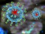 ВИЧ-позитивная женщина за 9 месяцев болезни накопила в организме 21 мутацию коронавируса
